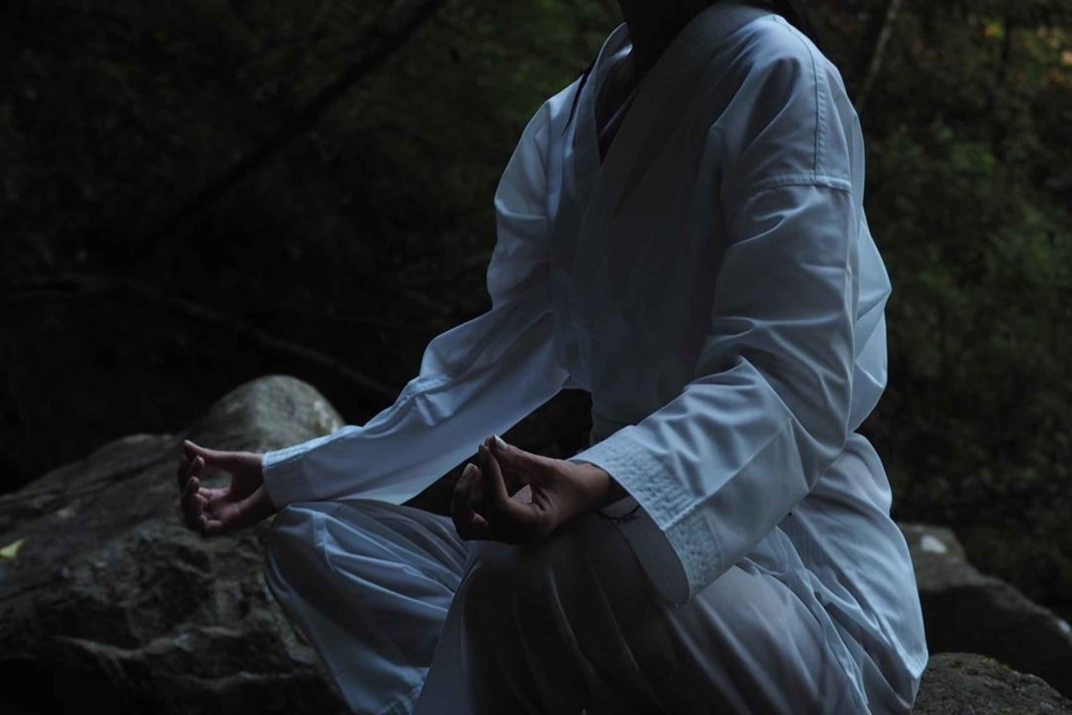 Puhdista mielesi pyhässä vesiputouksessa 'Takigyo' Odawara