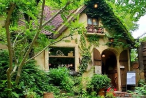 Luoghi nascosti e poco affollati: tour privato in auto Tour privato in auto del Monte Fuji