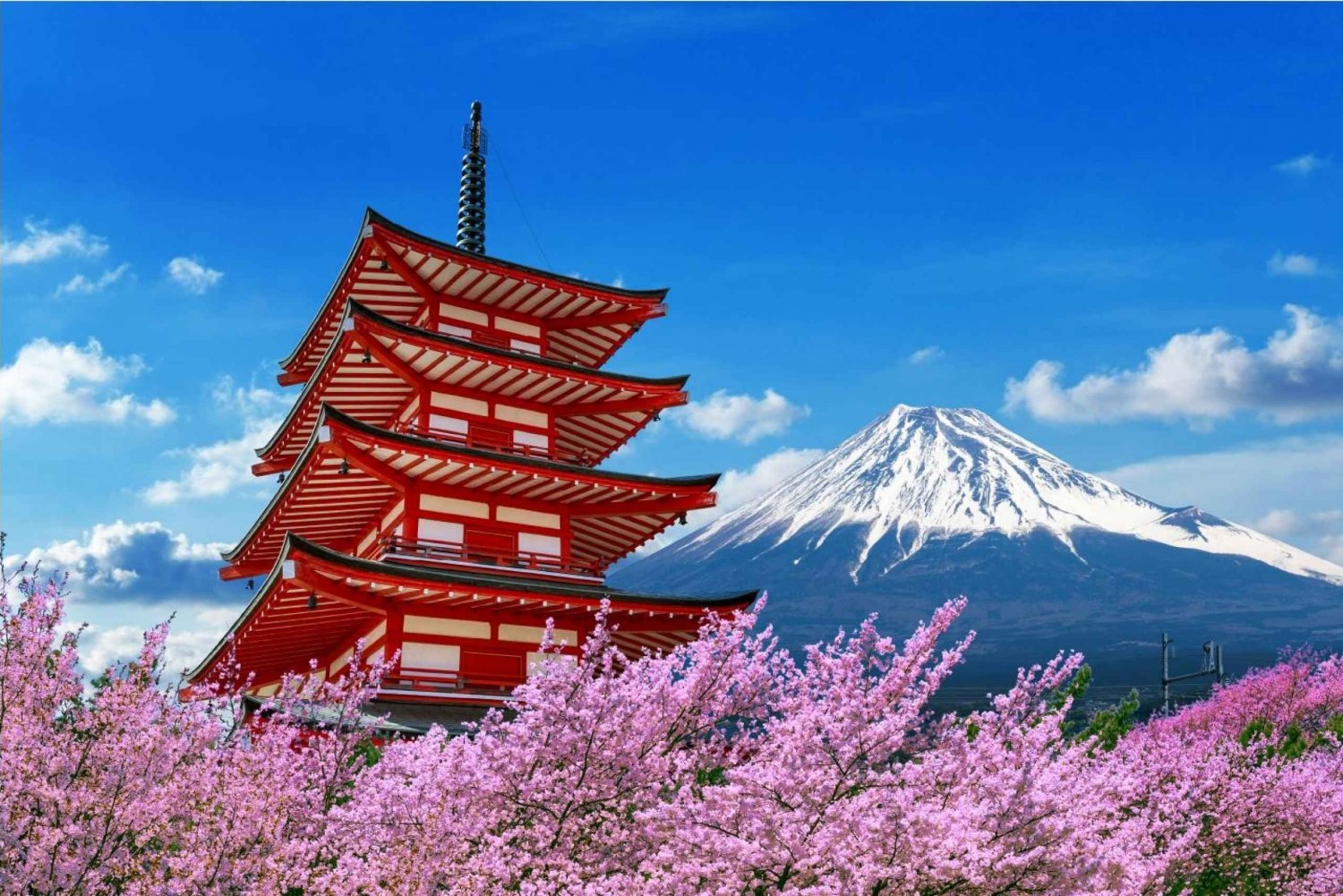 Tour del Monte Fuji e Hakone con autista privato e trasporto