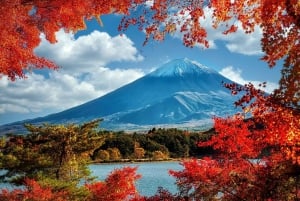 Excursión al monte Fuji y Hakone con conductor personal y transporte