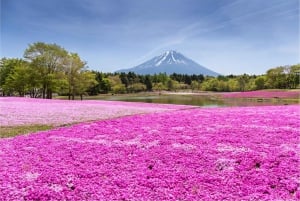 Excursión al monte Fuji y Hakone con conductor personal y transporte