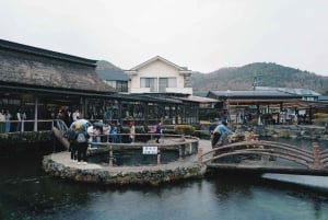 Excursión al monte Fuji y Hakone con conductor personal y transporte