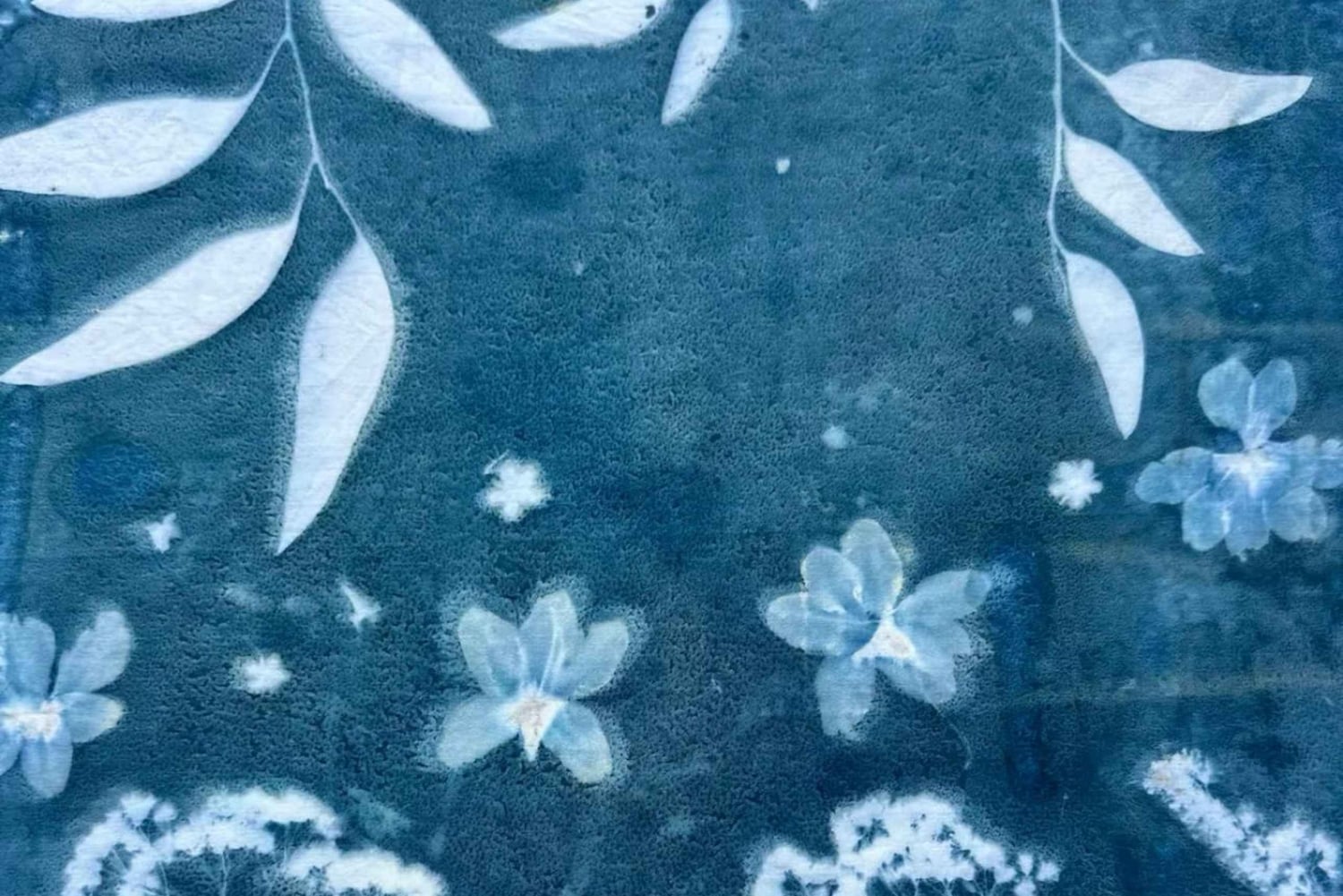 Cyanotype Printing with Botanicals in Tokyo, Japan