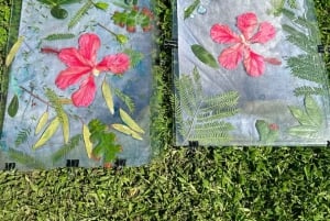 Cyanotype Printing with Botanicals in Tokyo, Japan