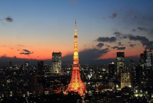 Daikoku Car Meet Experience and Scenic Landscapes of Tokyo