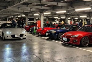 Tokyo: Legendarisk JDM CAR TOUR Daikoku Underground Meetup