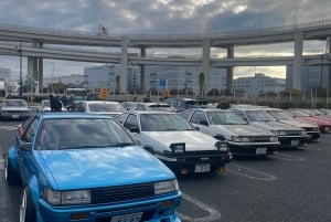 Daikoku: unisciti a un club automobilistico e scopri la scena automobilistica giapponese