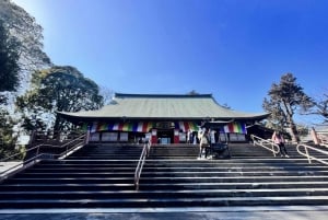 Tagestour ab Tokio: Kawagoe und Edo Japan erleben