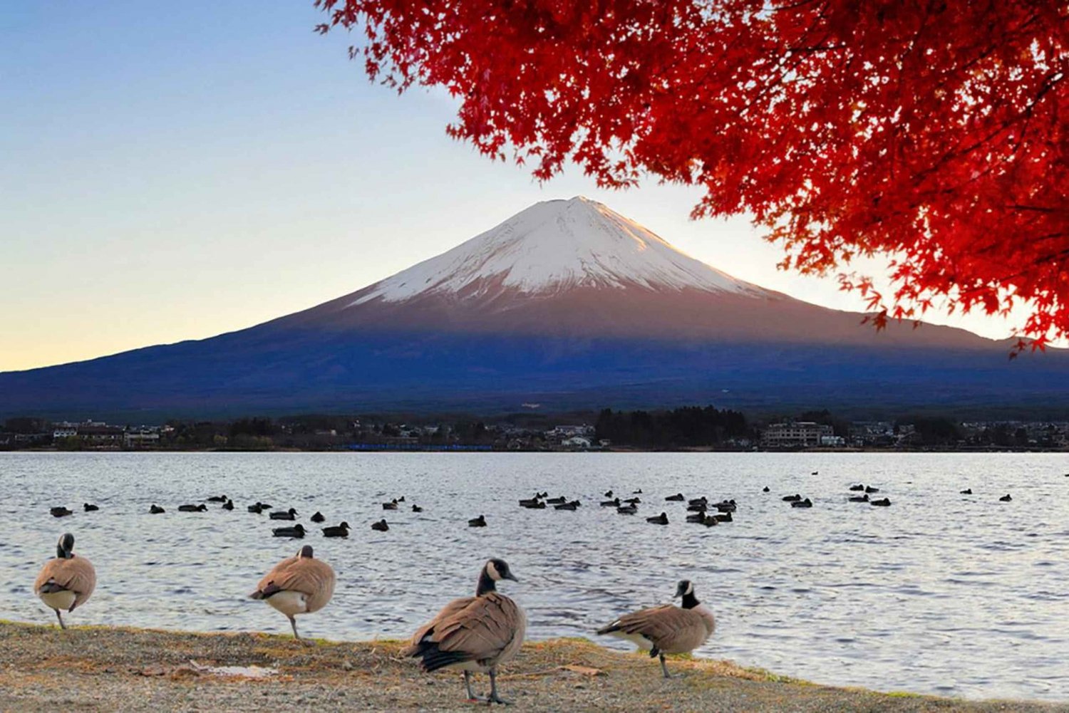 Depuis Tokyo : Excursion d'une journée au Mont Fuji, au lac Kawaguchi et à Oshino Hakkai