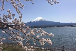 Z Tokio: Mt.Fuji, jezioro Kawaguchi, Oshino Hakkai - jednodniowa wycieczka