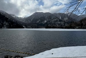 Tokio: tour privado a Nikko con guía de habla inglesa