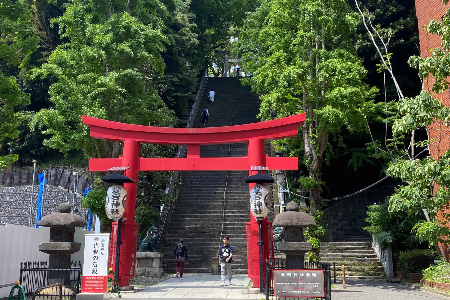 Poznaj historię Shinjuku Gyoen – prywatna wycieczka piesza