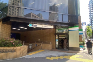 Poznaj historię Shinjuku Gyoen – prywatna wycieczka piesza