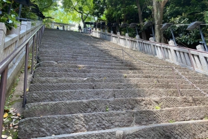 Poznaj historię Shinjuku Gyoen – prywatna wycieczka piesza