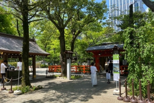 Poznaj historię Shinjuku Gyoen – prywatna wycieczka piesza