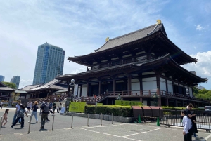 Poznaj historię Shinjuku Gyoen – prywatna wycieczka piesza