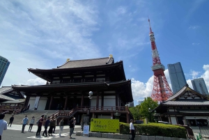 Poznaj historię Shinjuku Gyoen – prywatna wycieczka piesza