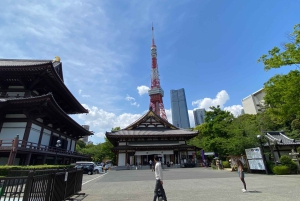 Poznaj historię Shinjuku Gyoen – prywatna wycieczka piesza