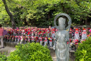 Poznaj historię Shinjuku Gyoen – prywatna wycieczka piesza