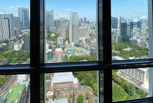 Poznaj historię Shinjuku Gyoen – prywatna wycieczka piesza