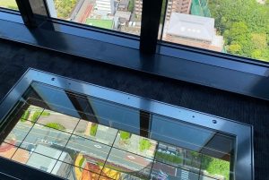 Poznaj historię Shinjuku Gyoen – prywatna wycieczka piesza