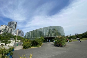 Poznaj historię Shinjuku Gyoen – prywatna wycieczka piesza