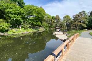 Poznaj historię Shinjuku Gyoen – prywatna wycieczka piesza