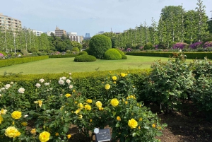 Poznaj historię Shinjuku Gyoen – prywatna wycieczka piesza