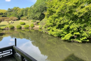 Poznaj historię Shinjuku Gyoen – prywatna wycieczka piesza