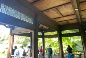 Poznaj historię Shinjuku Gyoen – prywatna wycieczka piesza