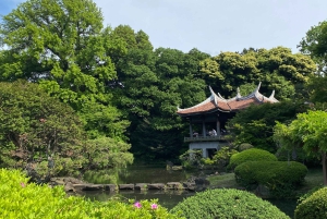 Poznaj historię Shinjuku Gyoen – prywatna wycieczka piesza