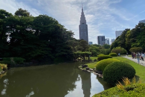 Poznaj historię Shinjuku Gyoen – prywatna wycieczka piesza