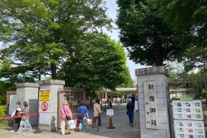 Poznaj historię Shinjuku Gyoen – prywatna wycieczka piesza