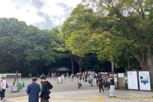 Poznaj historię Shinjuku Gyoen – prywatna wycieczka piesza