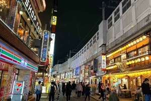 Come y bebe como un lugareño: tabernas y ramen en Ueno, Tokio