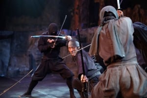 Edo Wonderland Nikko Edomura Cultural Theme Park Ticket