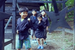 Edo Wonderland Nikko Edomura Cultural Theme Park Ticket