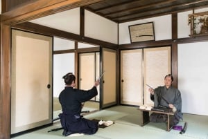 Edo Wonderland Nikko Edomura Cultural Theme Park Ticket