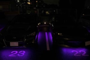 Engine Pulse:JDM HEART BEAT at DaikokuPA(RX-8,Subaru,TYPE-R)