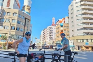 Tokyo buiten de toeristische routes: lokale e-bike-tour (3 uur)