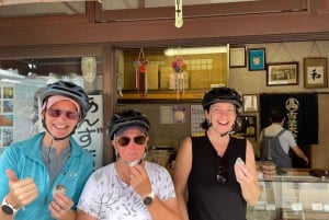 Tokyo buiten de toeristische routes: lokale e-bike-tour (3 uur)