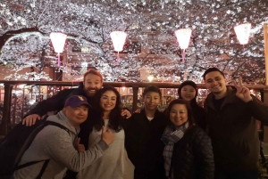 Evening Hanami (Cherry Blossom) Experience with a Local