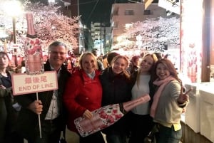 Evening Hanami (Cherry Blossom) Experience with a Local