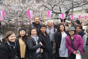 Evening Hanami (Cherry Blossom) Experience with a Local