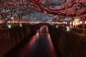 Evening Hanami (Cherry Blossom) Experience with a Local