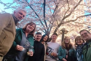 Evening Hanami (Cherry Blossom) Experience with a Local