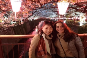 Evening Hanami (Cherry Blossom) Experience with a Local