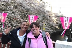 Evening Hanami (Cherry Blossom) Experience with a Local