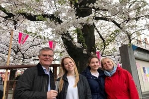 Evening Hanami (Cherry Blossom) Experience with a Local