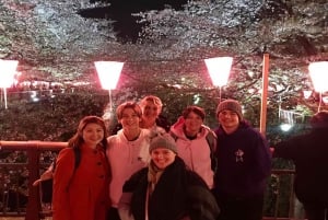 Evening Hanami (Cherry Blossom) Experience with a Local